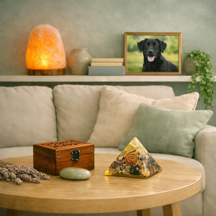 Home Decor & Atmosphere