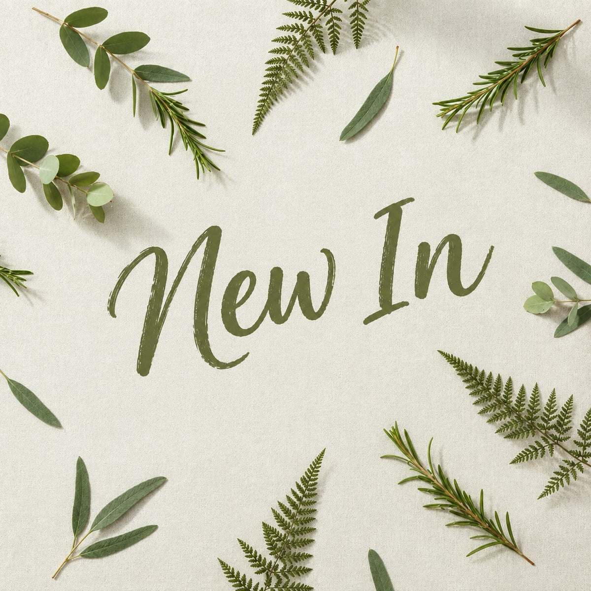 New Arrivals