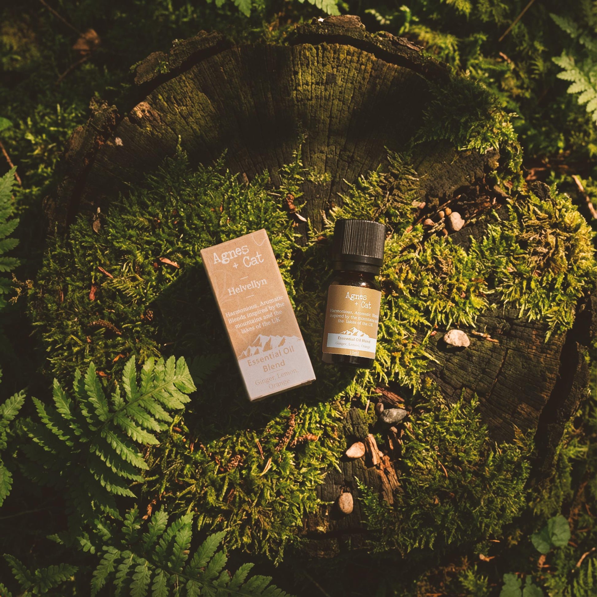 Agnes + Cat Helvellyn Essential Blend on forest floor