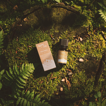 Agnes + Cat Helvellyn Essential Blend on forest floor