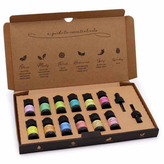 Set of top 12 essential oil bottles in a cardboard box with labels on a white background