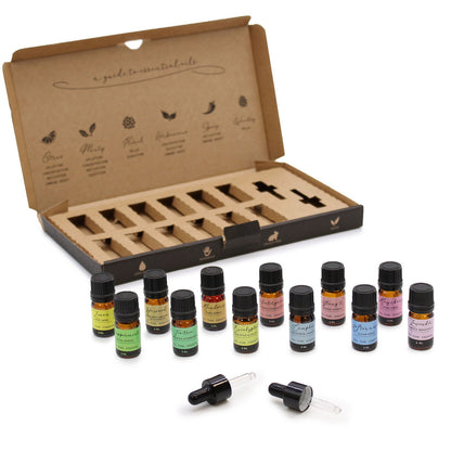 Essential oils starter pack bottles and packaging