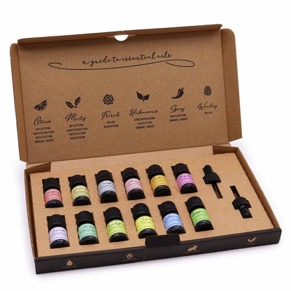 Essential Oil starter pack in cardboard gift box