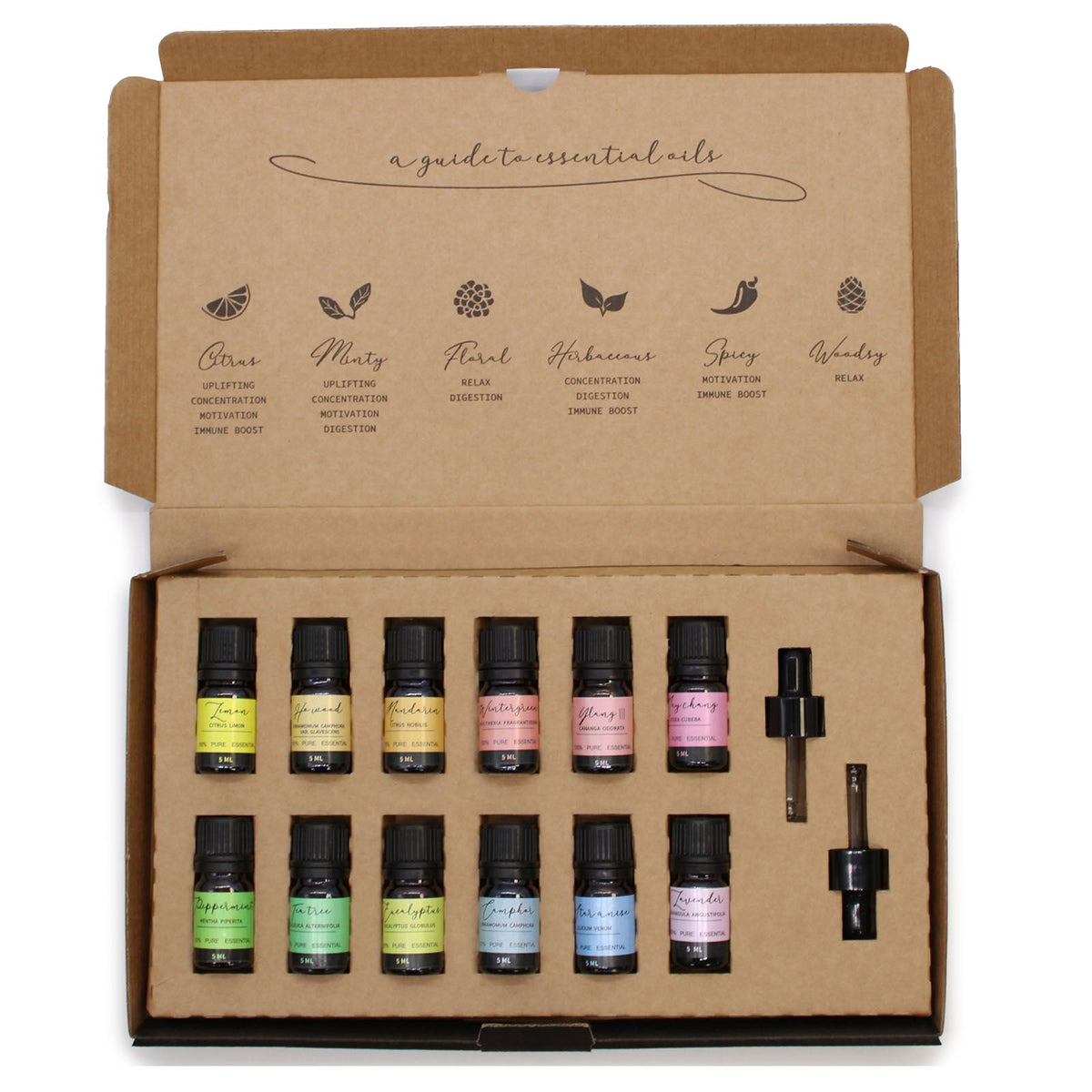 Essential Oils Starter Pack