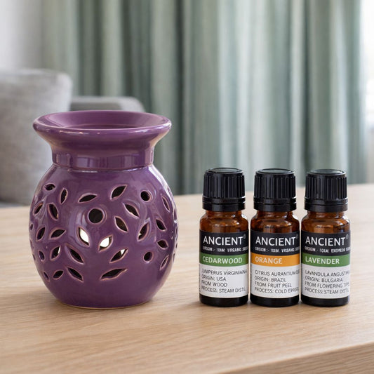 Evening retreat organic oil set with oil burner