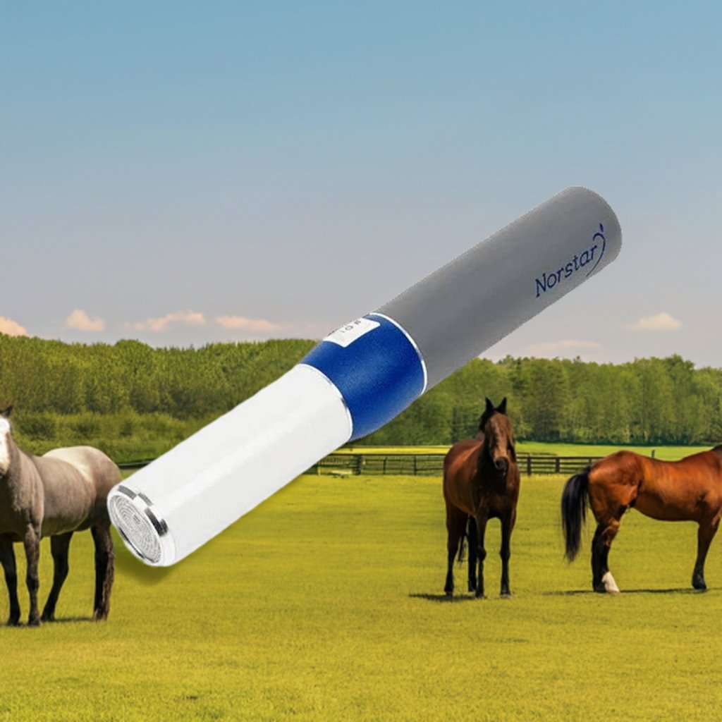 Norstar Magnessage with horses in a field