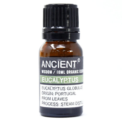 Bottle of Ancient Wisdom Eucalyptus organic essential oil on a white background