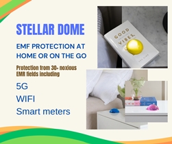 Geomack Activa Portable EMF Protection